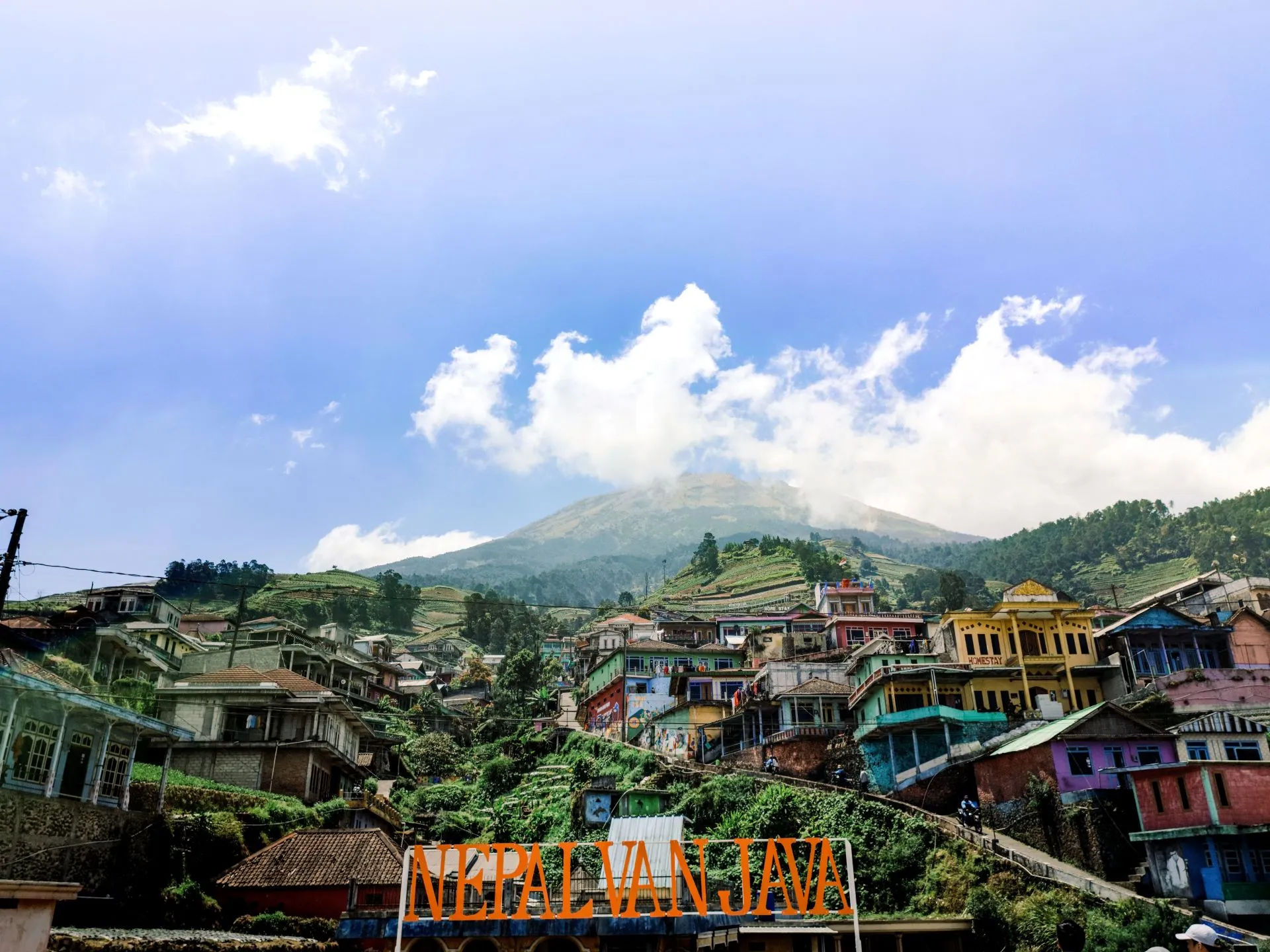 Nepal Van Java
